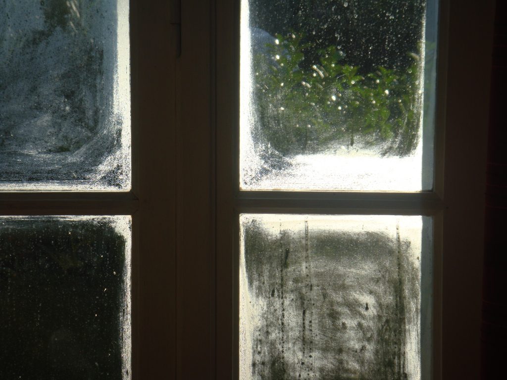 dsc00075_1
