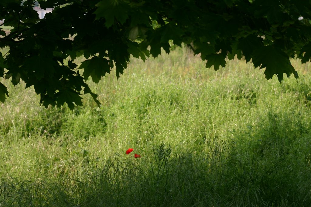 img_28307