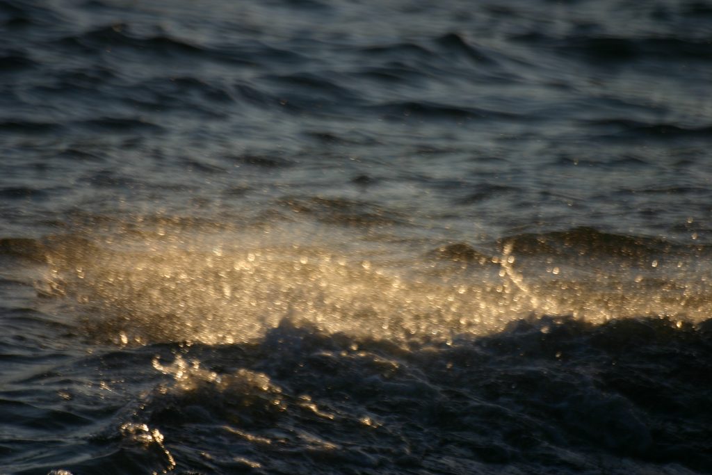 img_29323